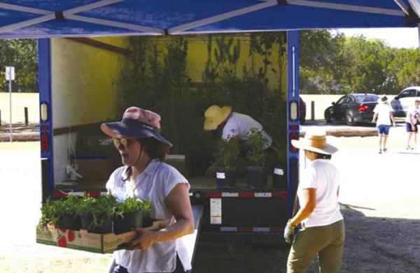 Hays County Master Gardeners Spring Plant and Tree Sale